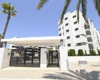 Rynek wtórny - apartment - Elche - Arenales del Sol