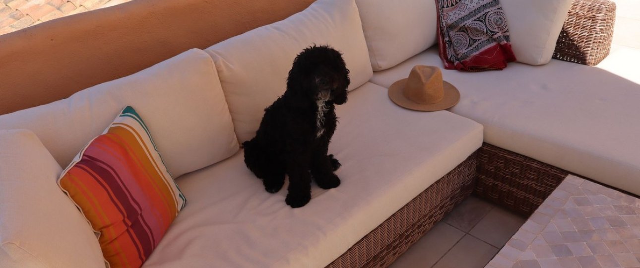 Rynek wtórny - apartment - Estepona - Atalaya