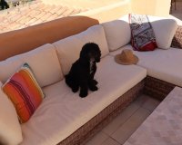 Rynek wtórny - apartment - Estepona - Atalaya