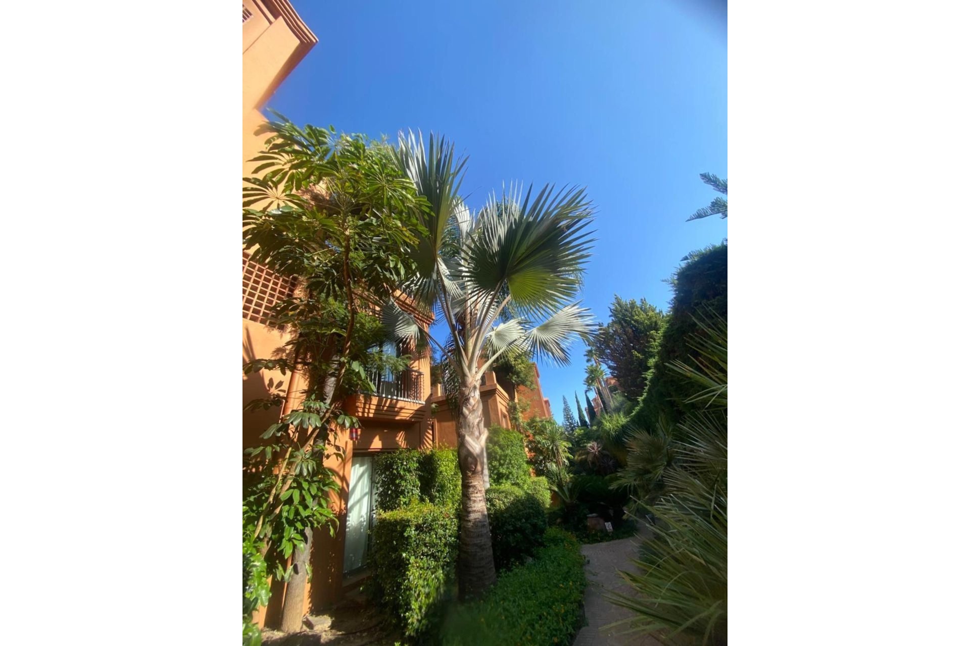 Rynek wtórny - apartment - Estepona - Atalaya