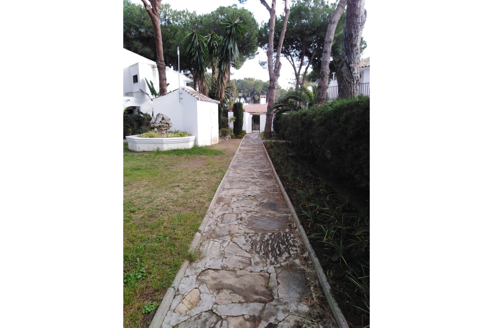 Rynek wtórny - apartment - Estepona - Benamara