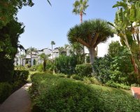 Rynek wtórny - apartment - Estepona - Costalita