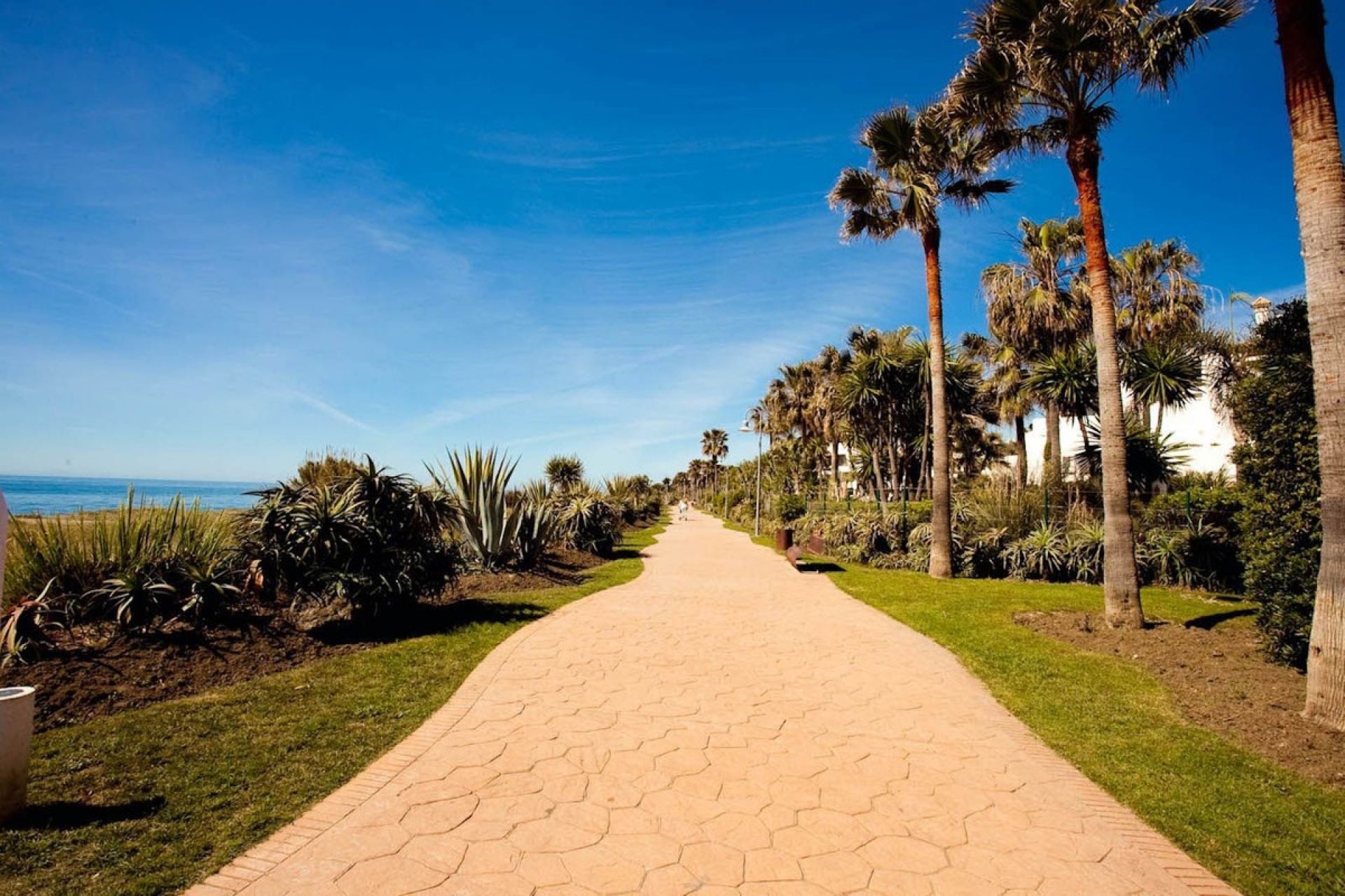 Rynek wtórny - apartment - Estepona - Costalita