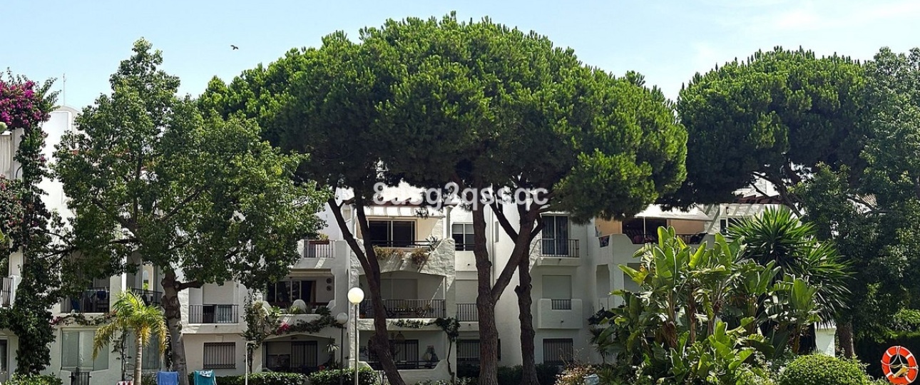 Rynek wtórny - apartment - Estepona - Costalita