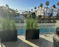 Rynek wtórny - apartment - Estepona - Costalita