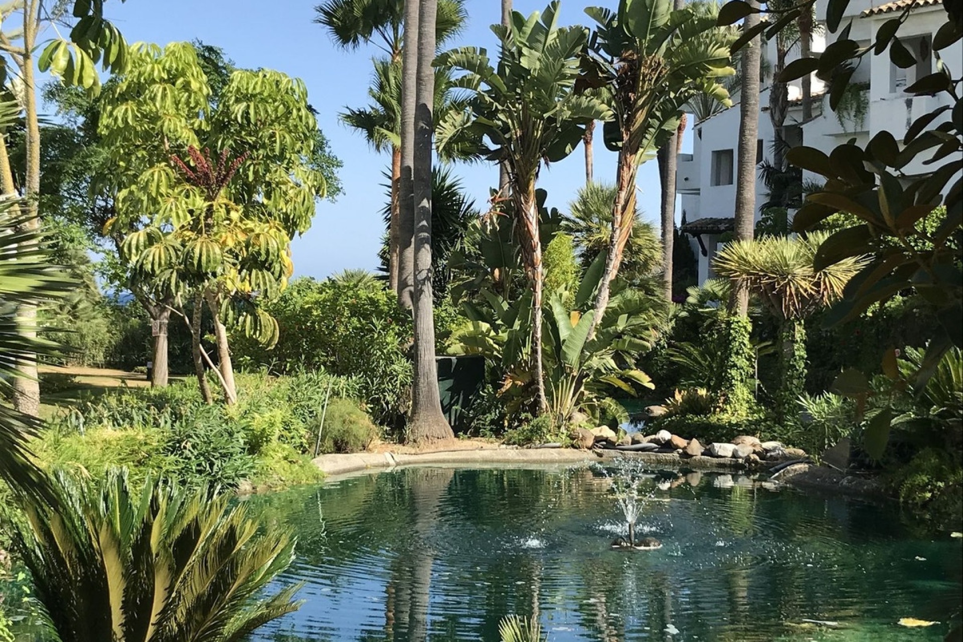 Rynek wtórny - apartment - Estepona - Costalita