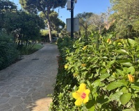 Rynek wtórny - apartment - Estepona - El Presidente