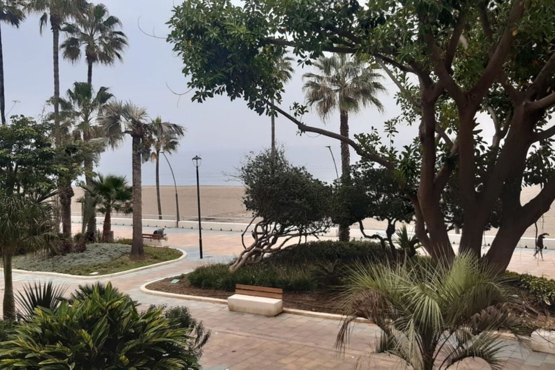 Rynek wtórny - apartment - Estepona - Estepona Centro