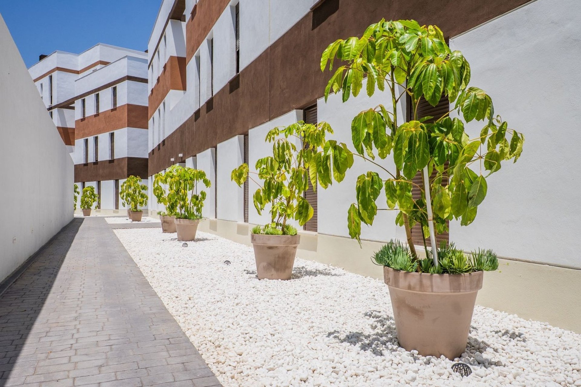 Rynek wtórny - apartment - Estepona - Estepona Centro