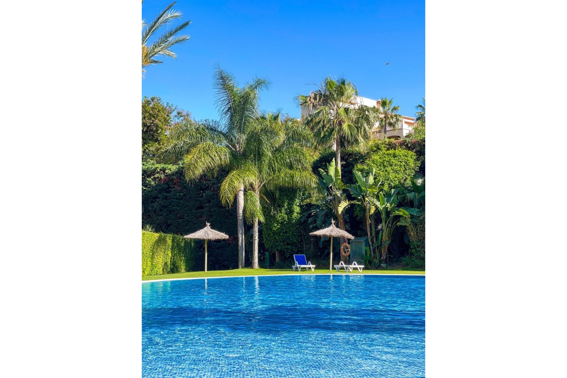Rynek wtórny - apartment - Estepona - Estepona Centro