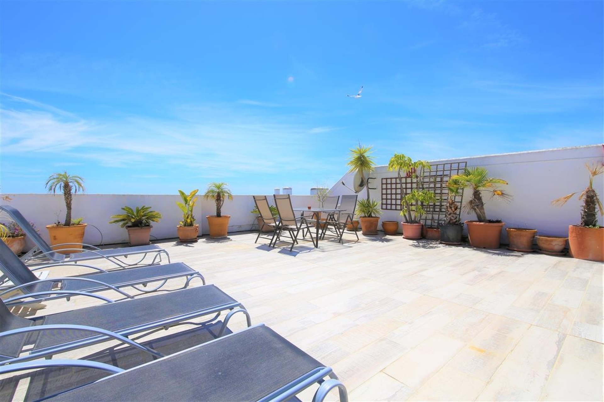 Rynek wtórny - apartment - Estepona - Estepona Centro