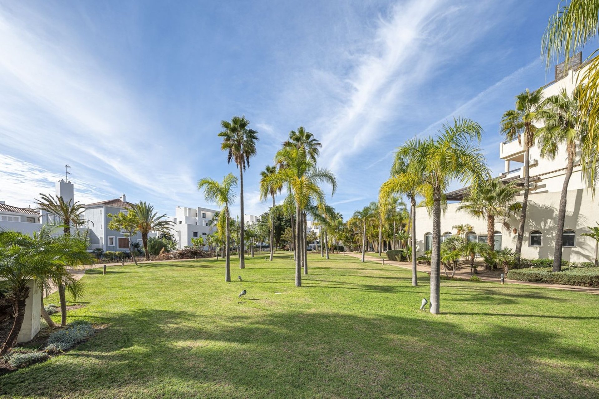 Rynek wtórny - apartment - Estepona - Estepona Centro