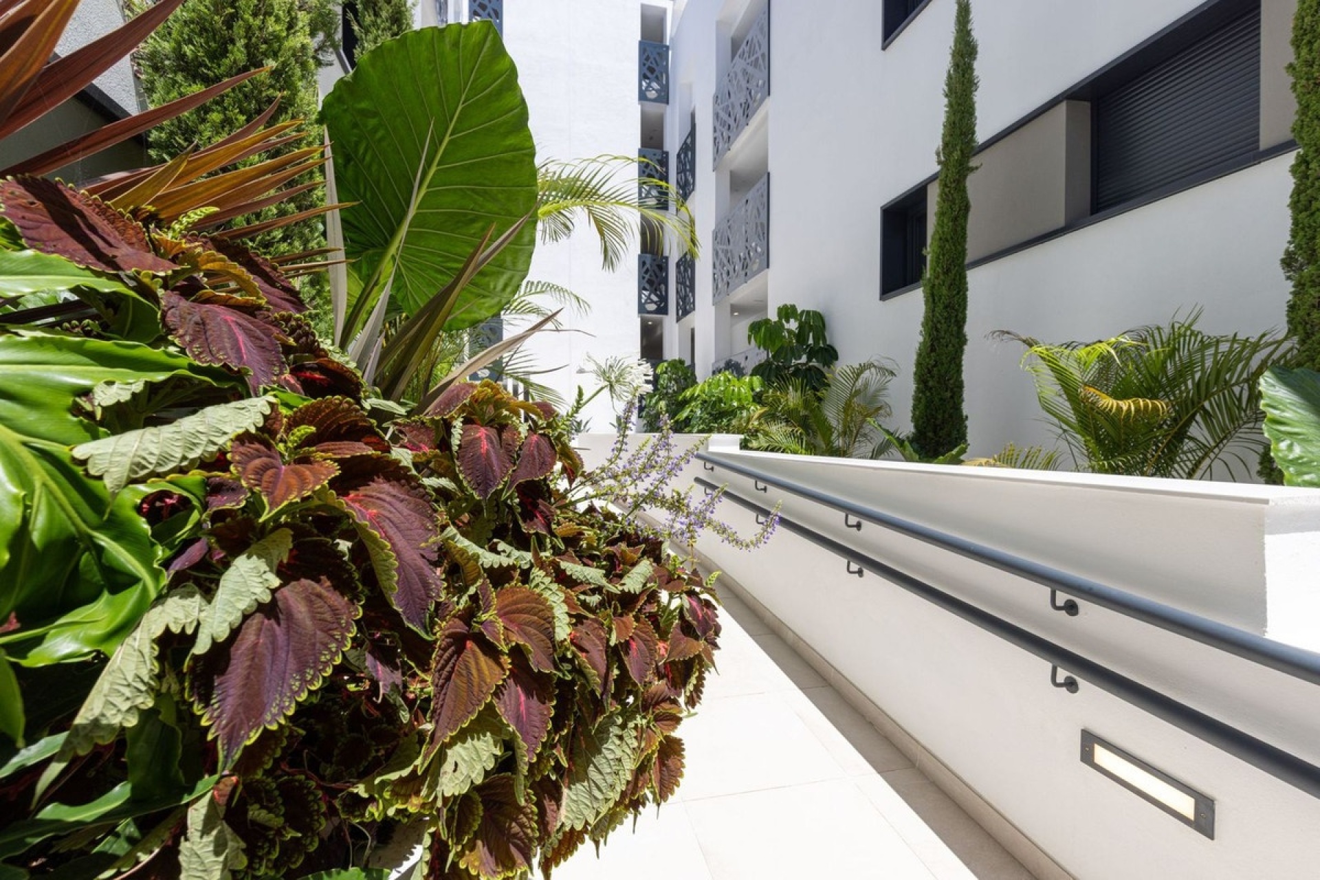 Rynek wtórny - apartment - Estepona - Estepona Centro