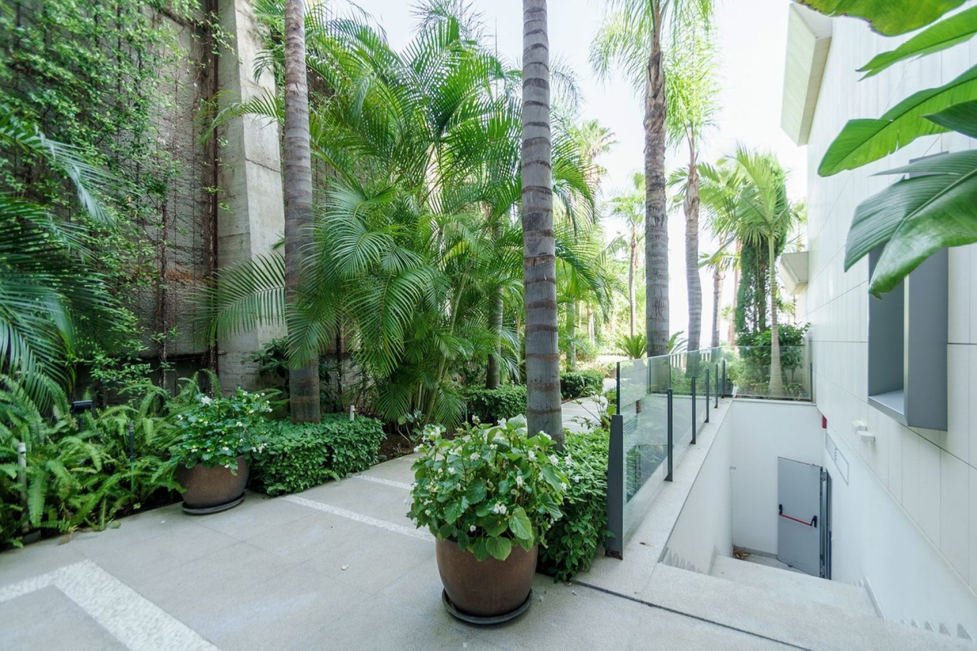 Rynek wtórny - apartment - Estepona - Estepona Centro