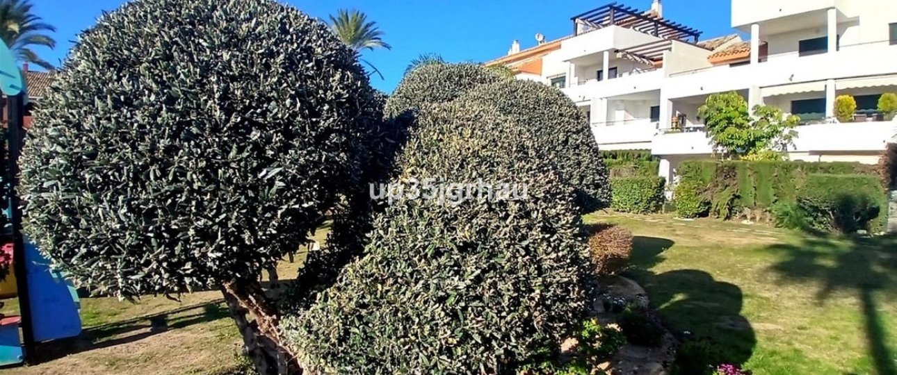 Rynek wtórny - apartment - Estepona - Estepona Centro