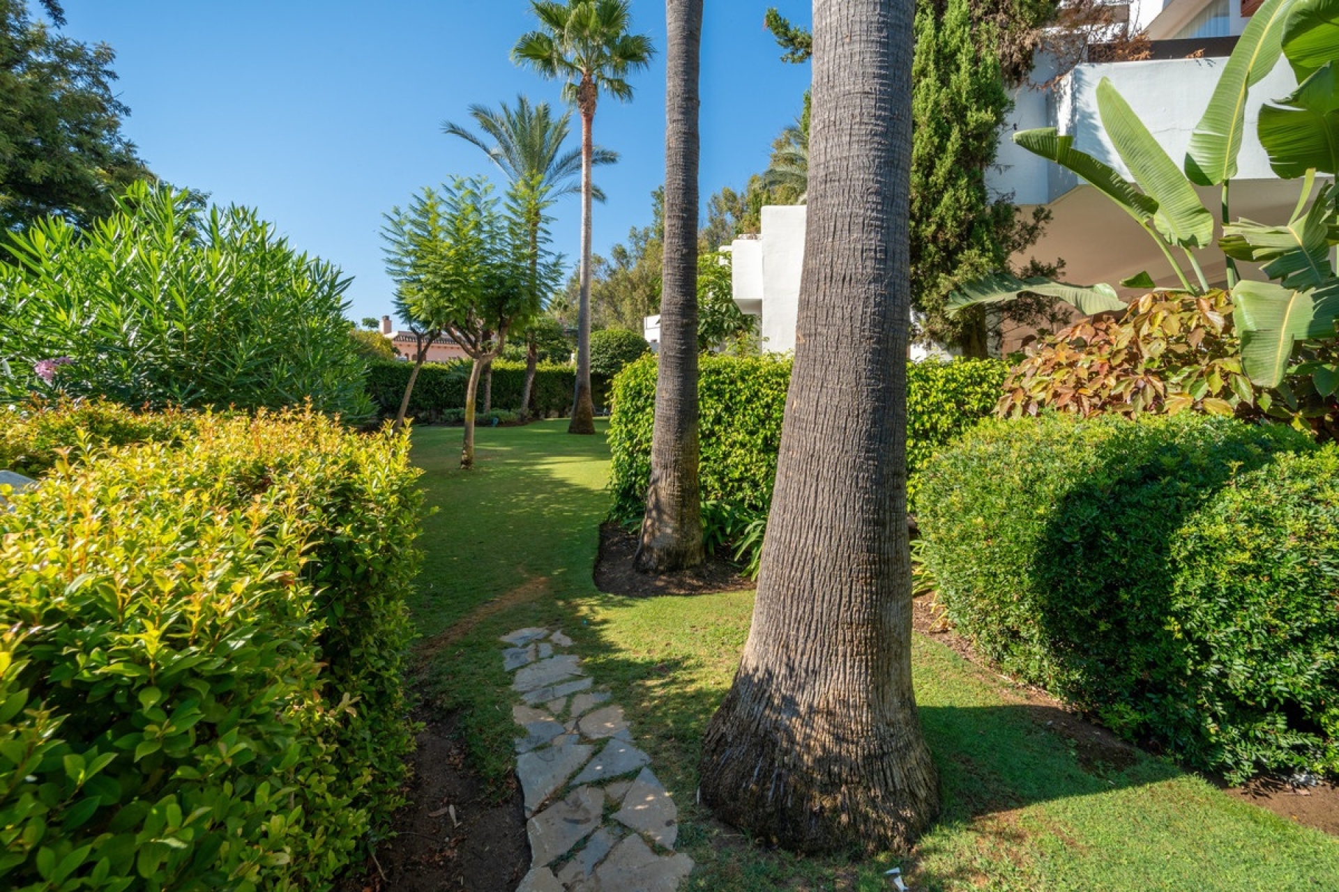 Rynek wtórny - apartment - Estepona - Estepona Centro