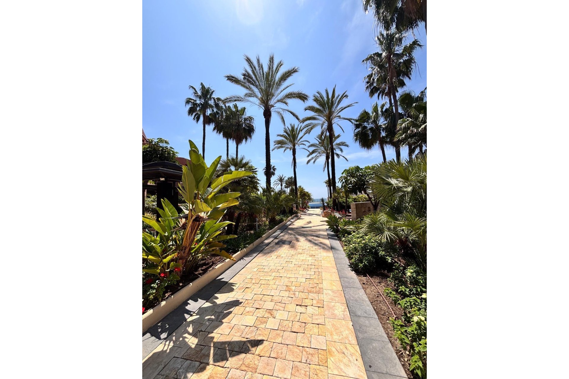 Rynek wtórny - apartment - Estepona - Estepona Centro