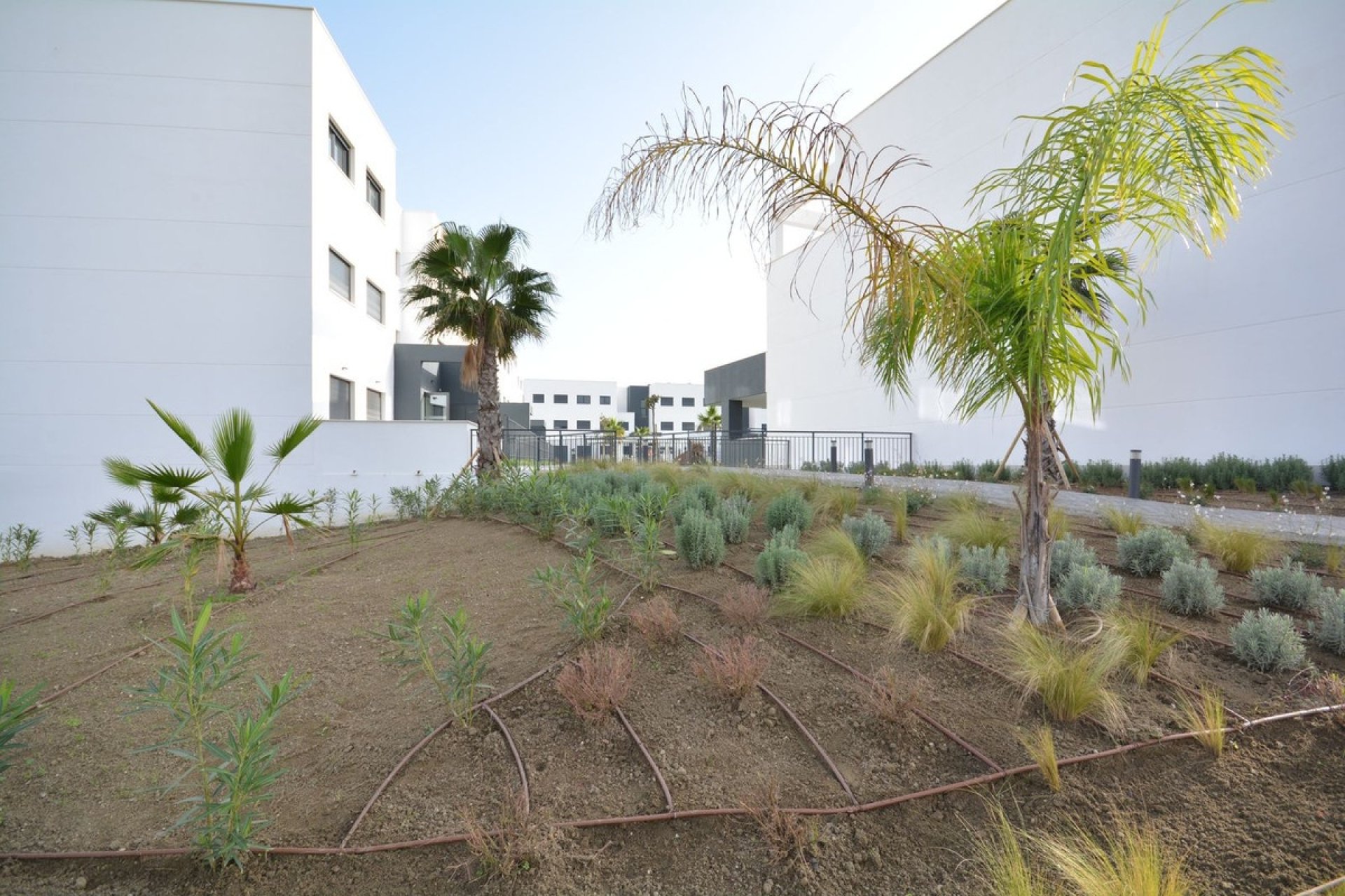 Rynek wtórny - apartment - Estepona - Estepona Centro