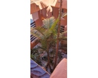 Rynek wtórny - apartment - Estepona - New Golden Mile
