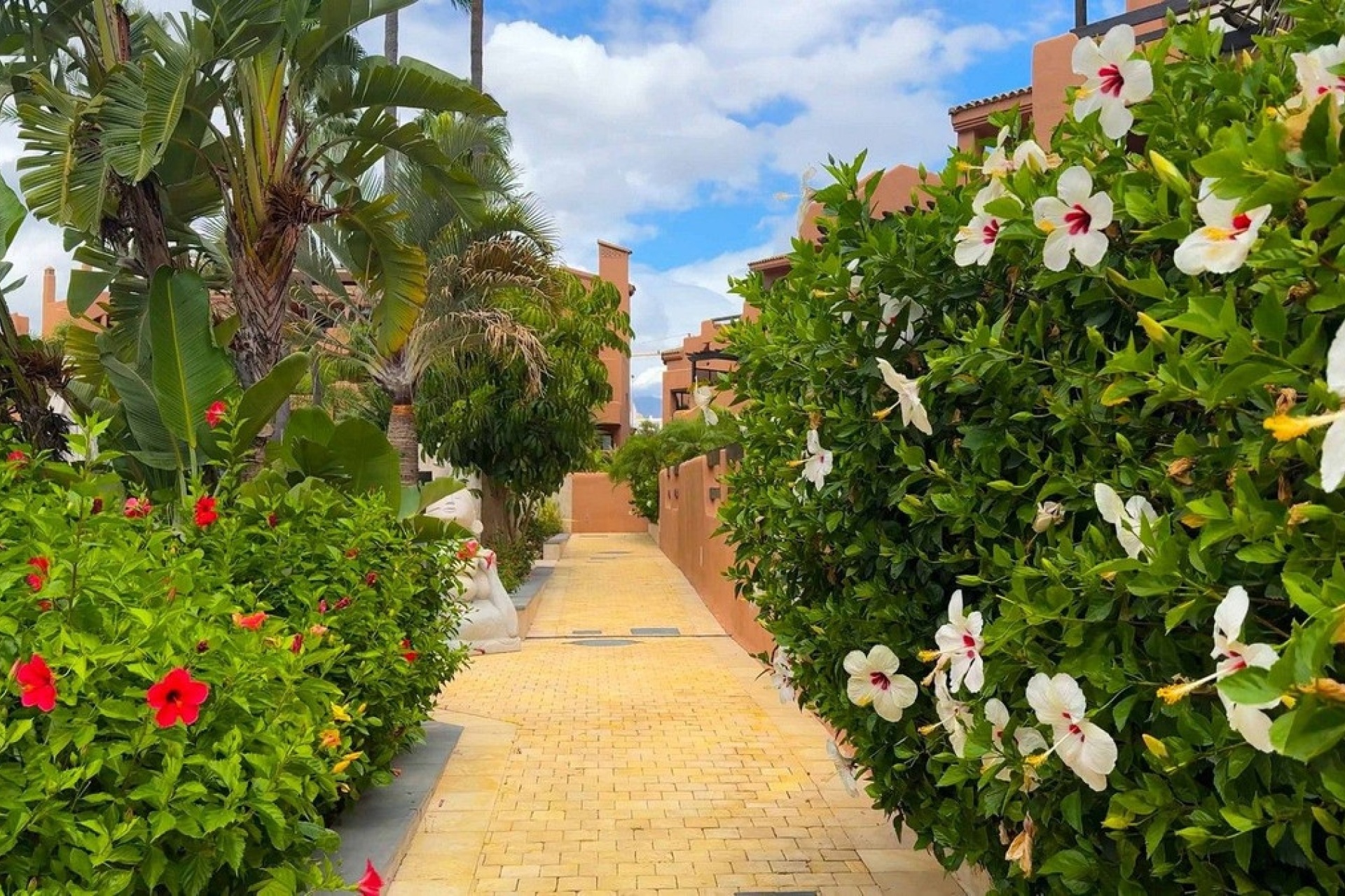 Rynek wtórny - apartment - Estepona - New Golden Mile