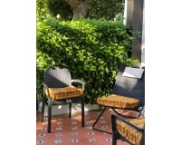 Rynek wtórny - apartment - Estepona - New Golden Mile