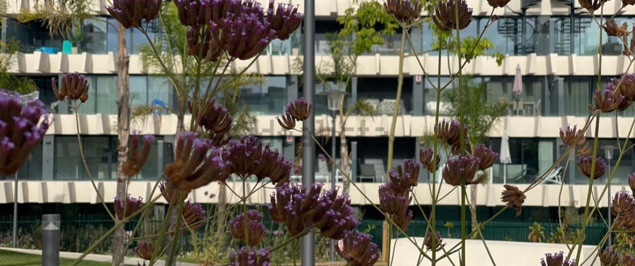 Rynek wtórny - apartment - Estepona - Selwo