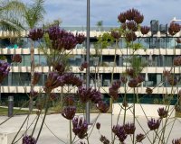 Rynek wtórny - apartment - Estepona - Selwo