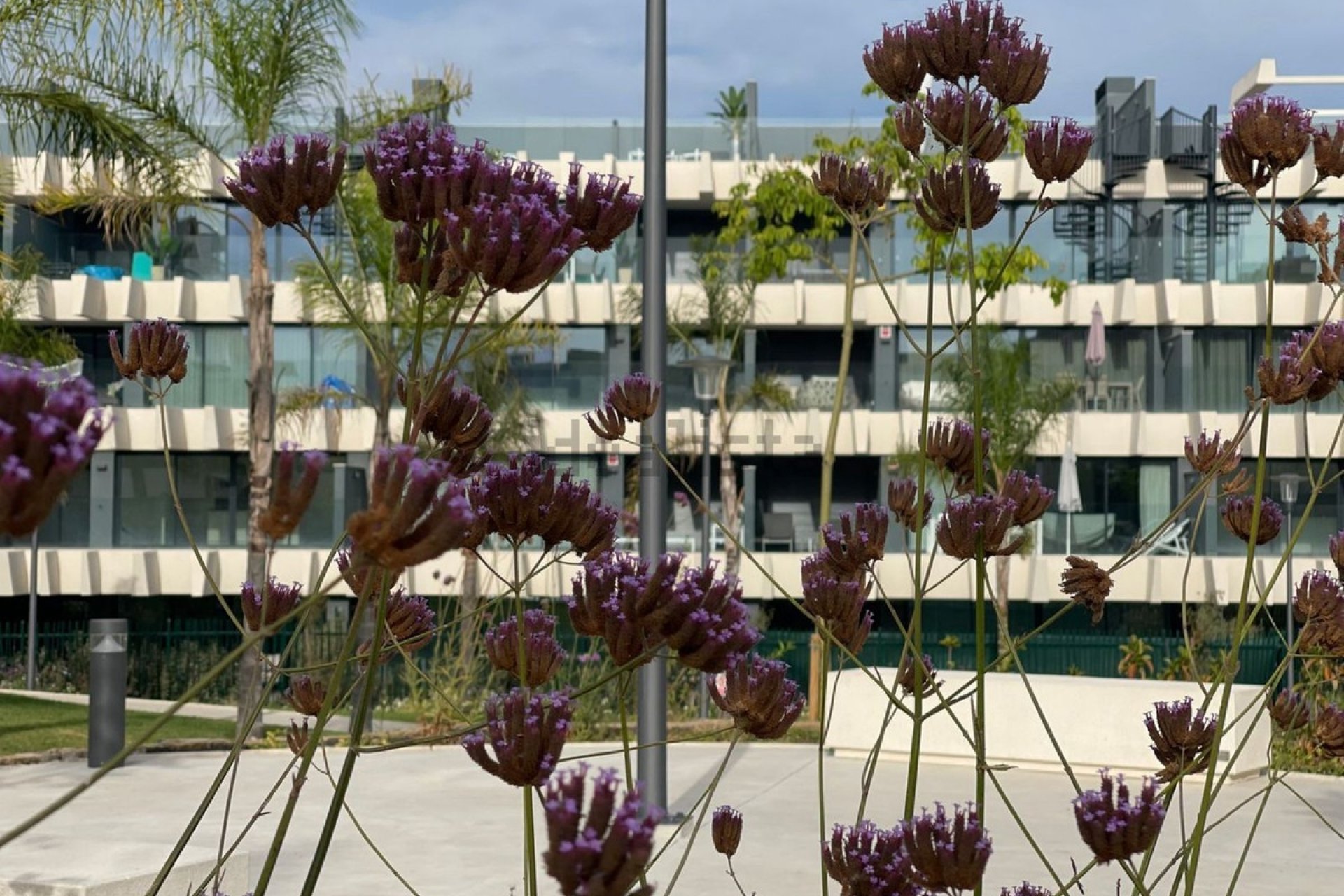 Rynek wtórny - apartment - Estepona - Selwo