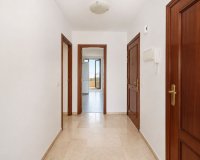 Rynek wtórny - apartment - Estepona - Selwo