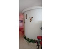 Rynek wtórny - apartment - Fuengirola - Fuengirola Centro