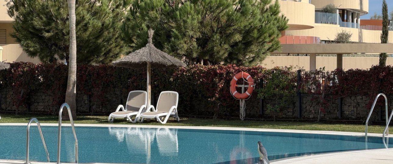 Rynek wtórny - apartment - Fuengirola - Higueron