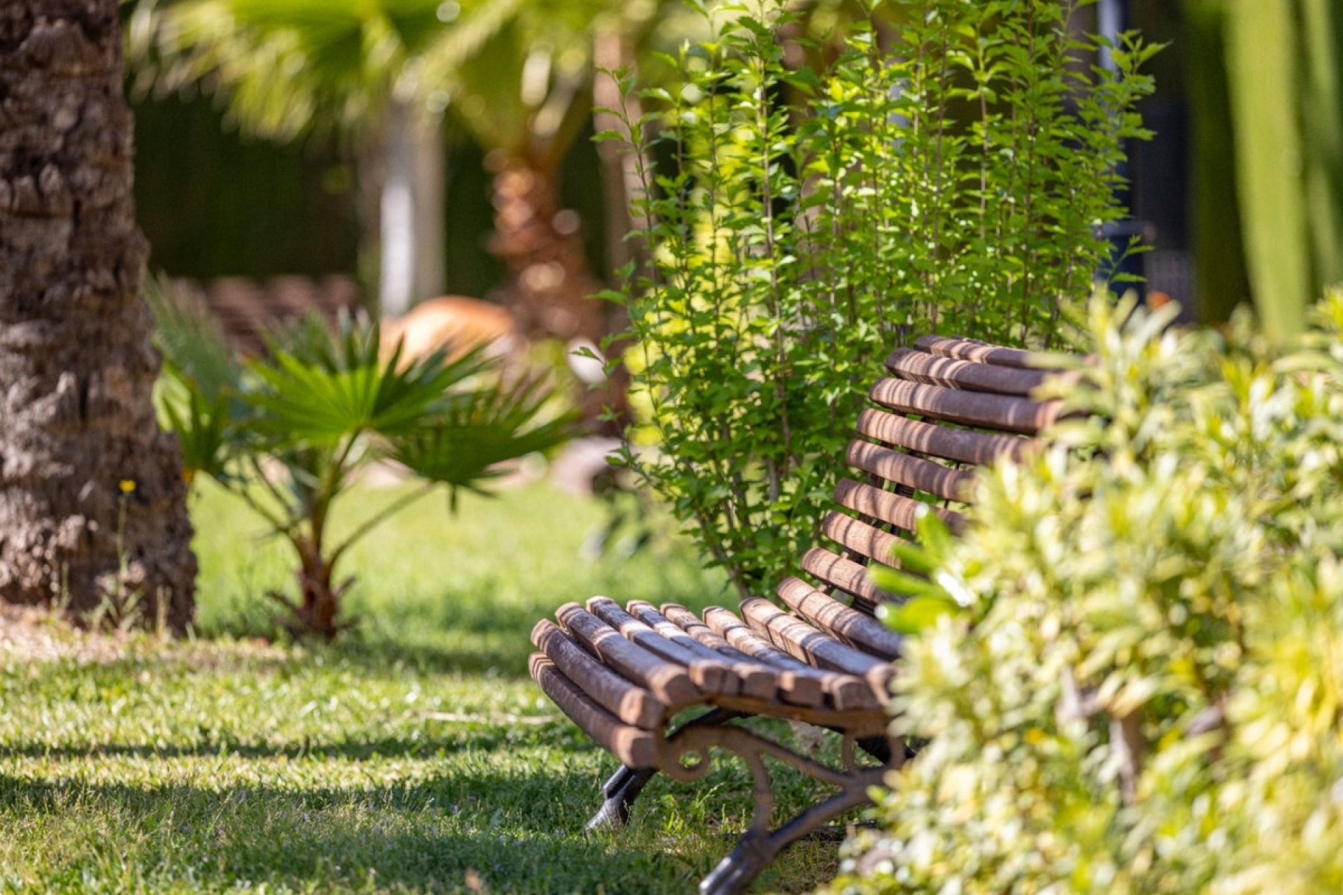 Rynek wtórny - apartment - Jávea - Xàbia - Jávea - Xàbia Centro
