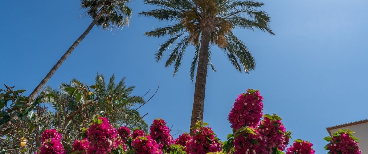 Rynek wtórny - apartment - Jávea - Xàbia - Jávea - Xàbia Centro