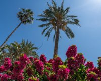 Rynek wtórny - apartment - Jávea - Xàbia - Jávea - Xàbia Centro