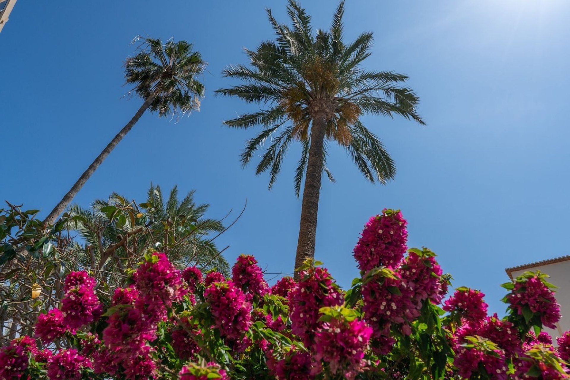 Rynek wtórny - apartment - Jávea - Xàbia - Jávea - Xàbia Centro