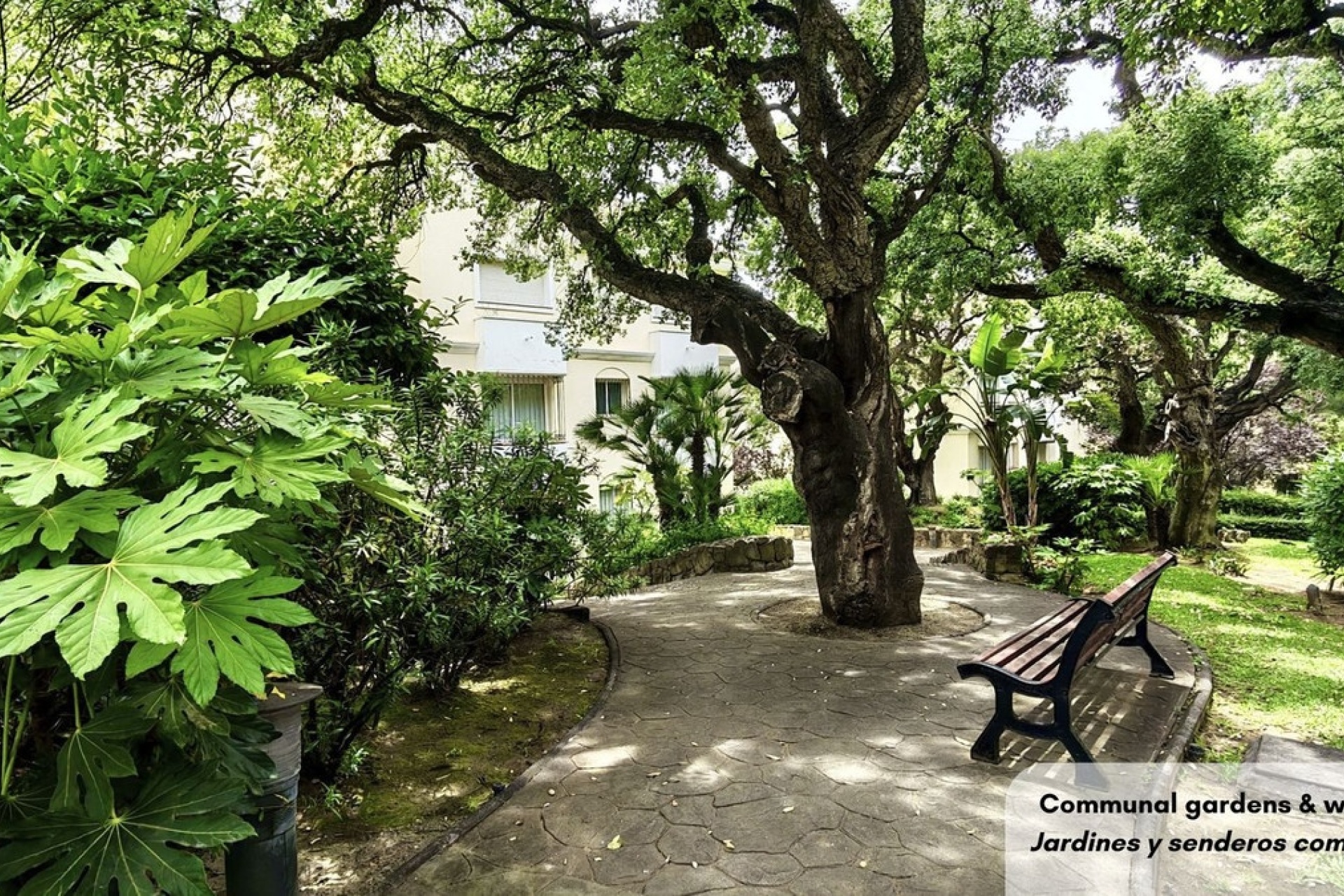 Rynek wtórny - apartment - Marbella - Bahía de Marbella