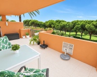 Rynek wtórny - apartment - Marbella - Cabopino