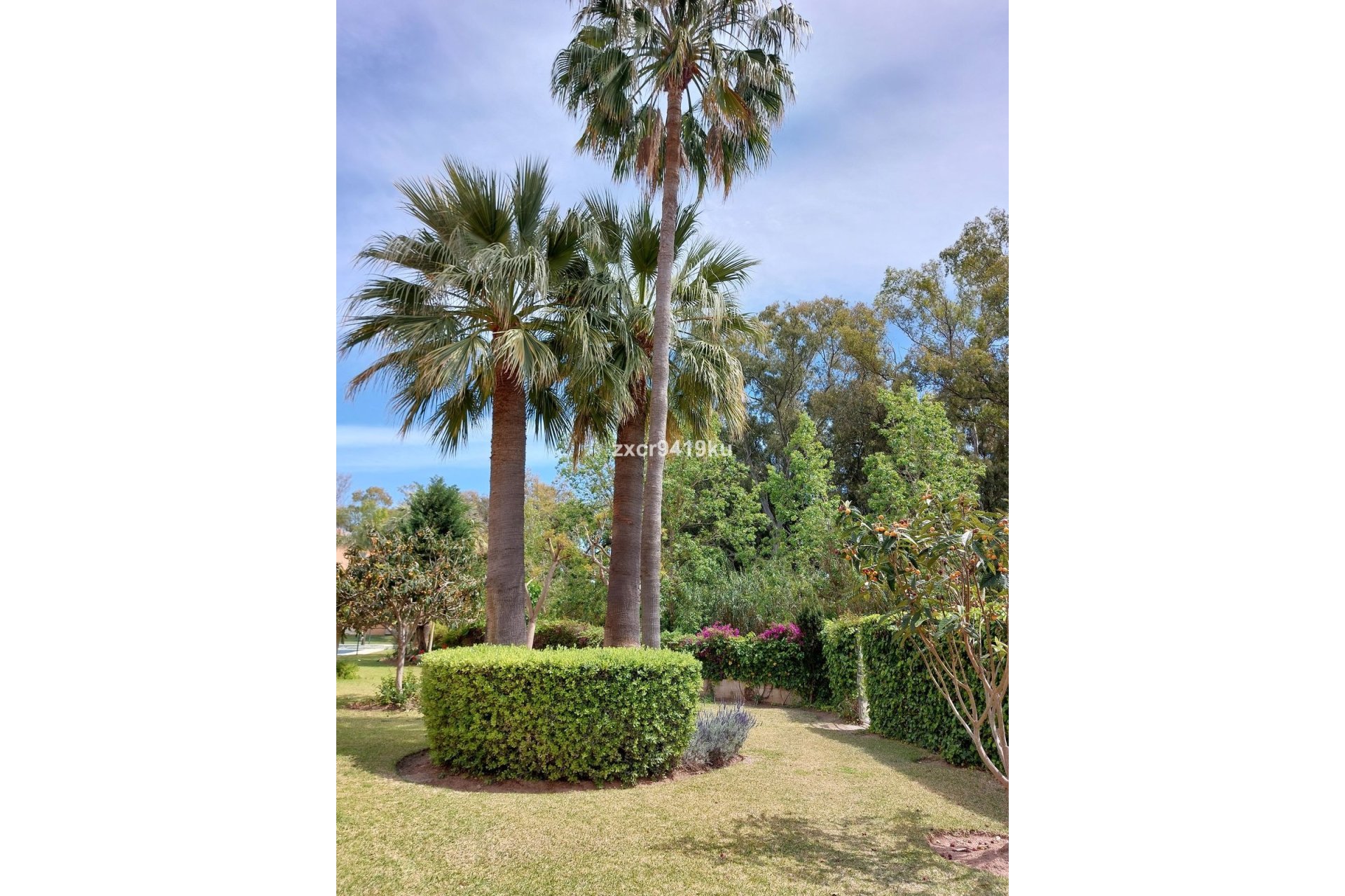 Rynek wtórny - apartment - Marbella - Carib Playa