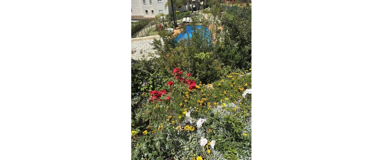 Rynek wtórny - apartment - Marbella - Elviria