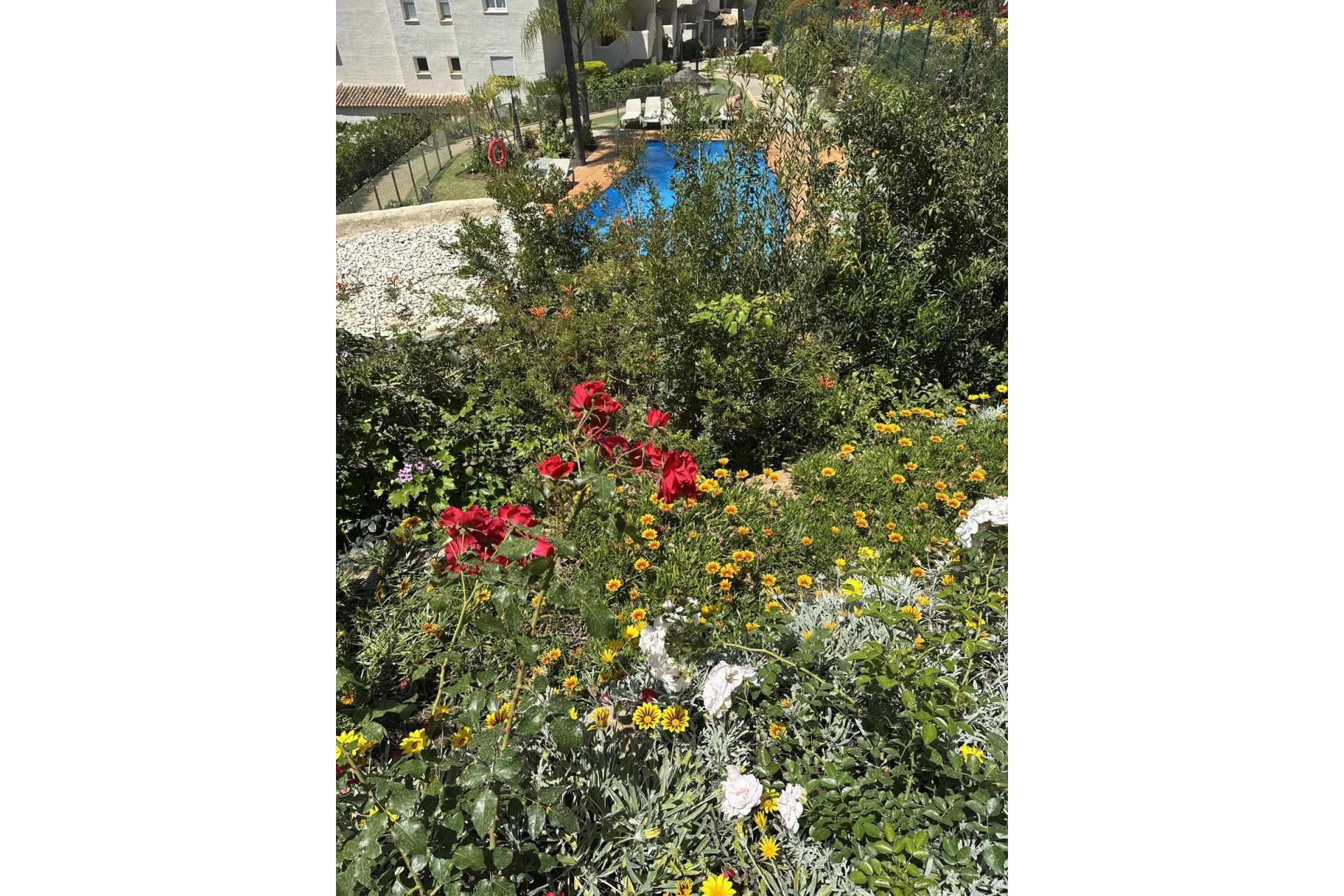 Rynek wtórny - apartment - Marbella - Elviria