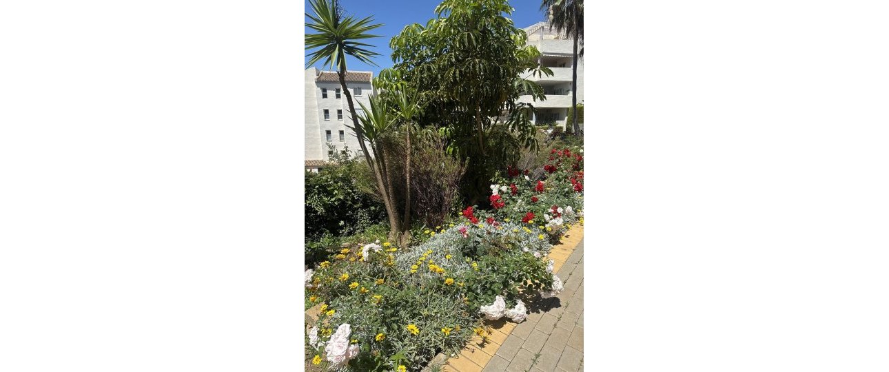 Rynek wtórny - apartment - Marbella - Elviria