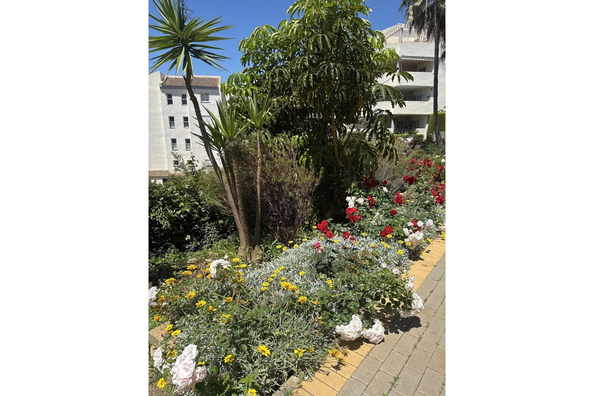 Rynek wtórny - apartment - Marbella - Elviria