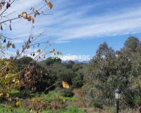 Rynek wtórny - apartment - Marbella - Elviria