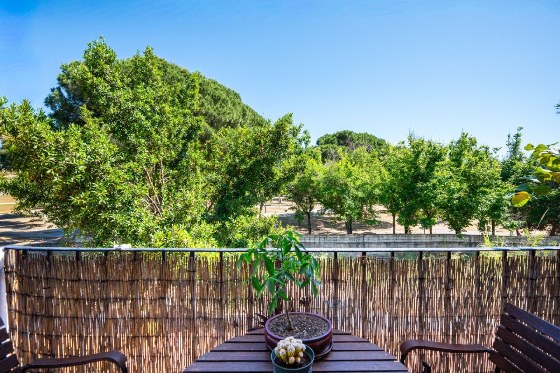 Rynek wtórny - apartment - Marbella - Elviria
