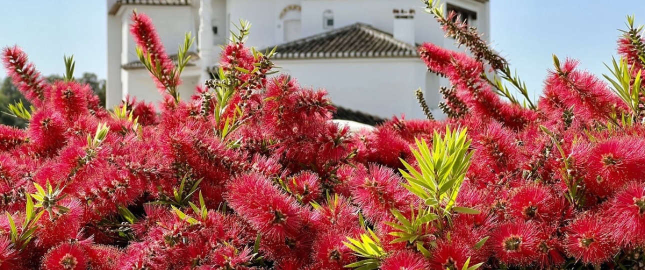 Rynek wtórny - apartment - Marbella - Elviria