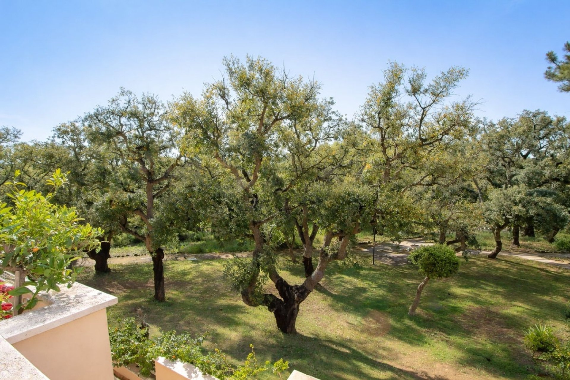 Rynek wtórny - apartment - Marbella - Elviria