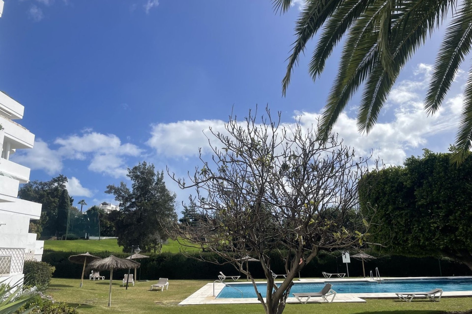 Rynek wtórny - apartment - Marbella - Guadalmina Alta