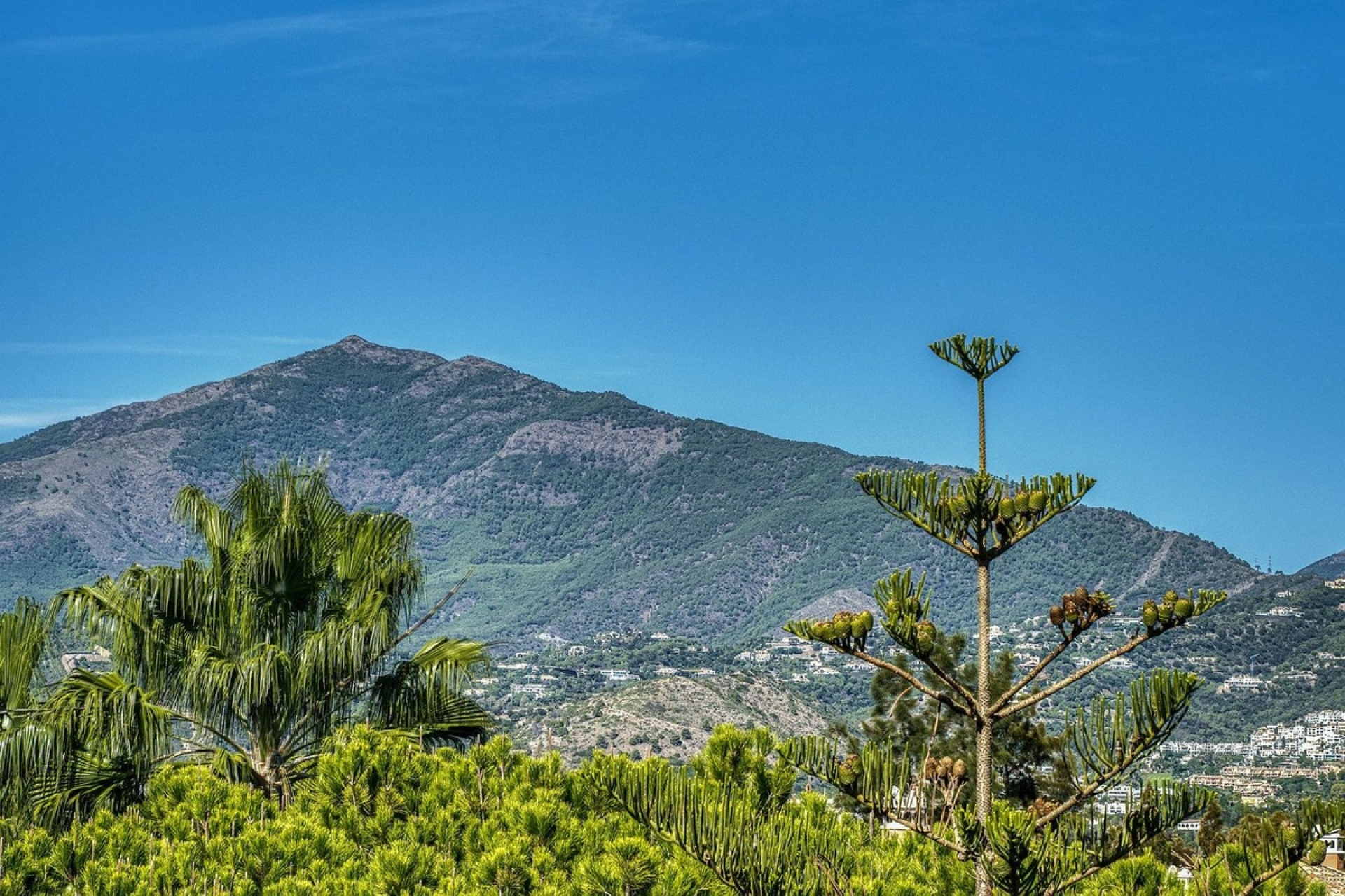 Rynek wtórny - apartment - Marbella - Guadalmina Baja