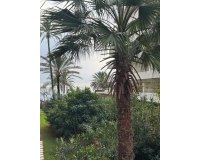 Rynek wtórny - apartment - Marbella - Marbella Centro