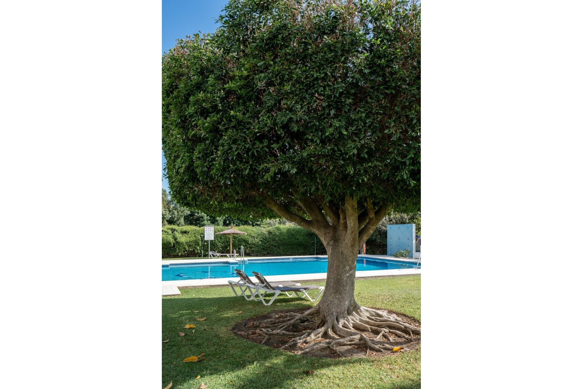 Rynek wtórny - apartment - Marbella - Marbella Centro